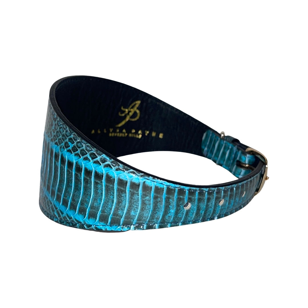 Turquoise & Black 3” Wide Style Collar