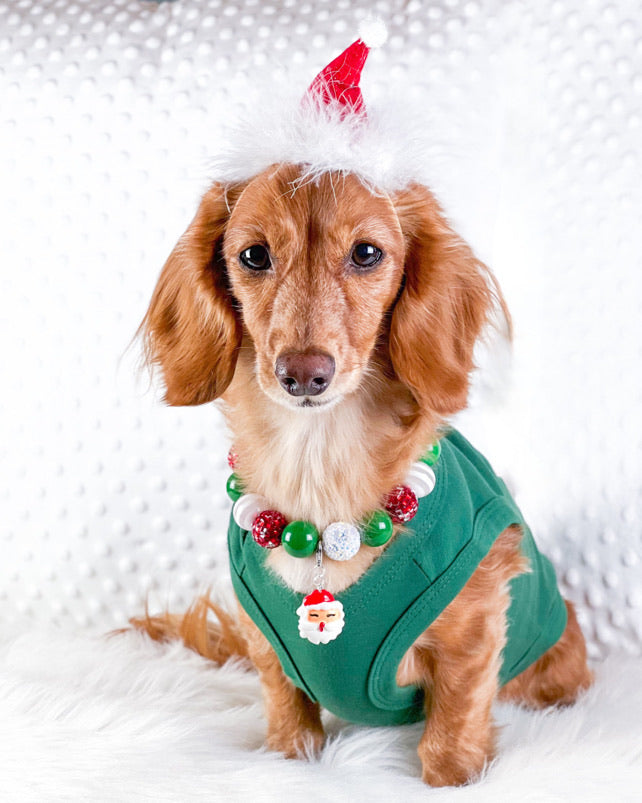 Parisian Pet Dear Santa Define Good Dog Christmas T-Shirt - Festive Pet Shirt for Cats & Dogs, Green