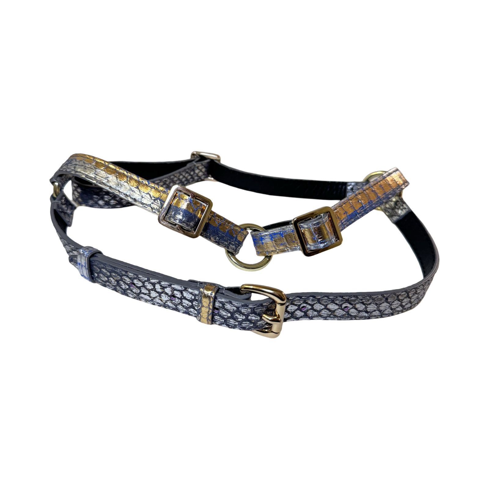 Allysa Payne The Royal Dog Harness