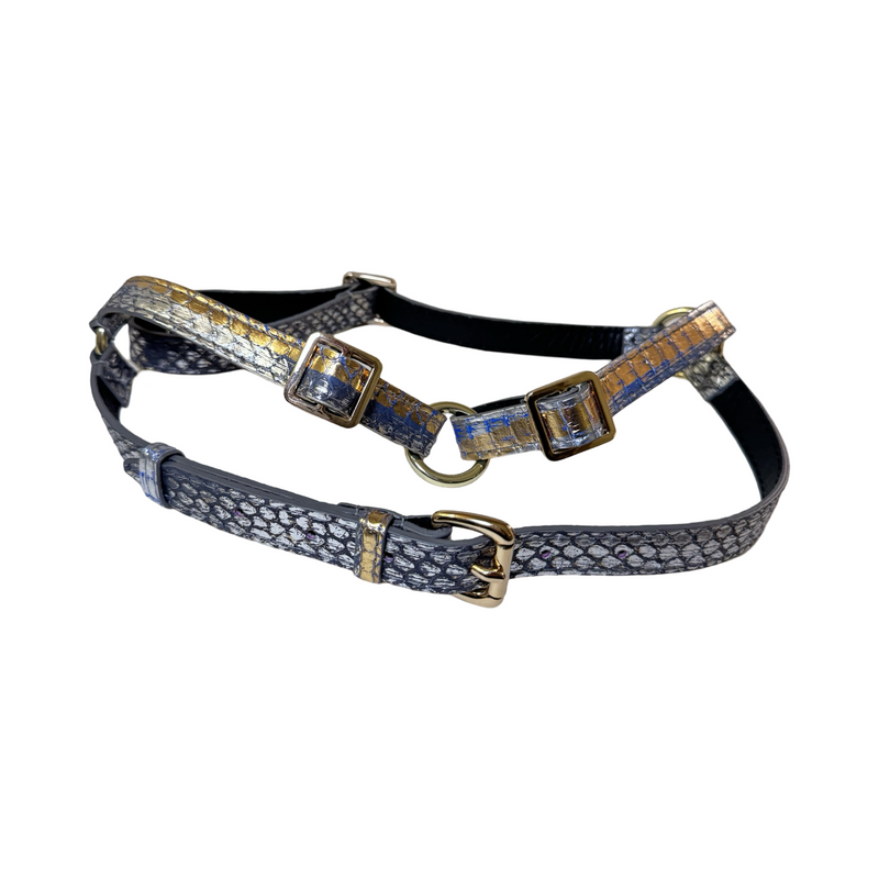 Allysa Payne The Royal Dog Harness
