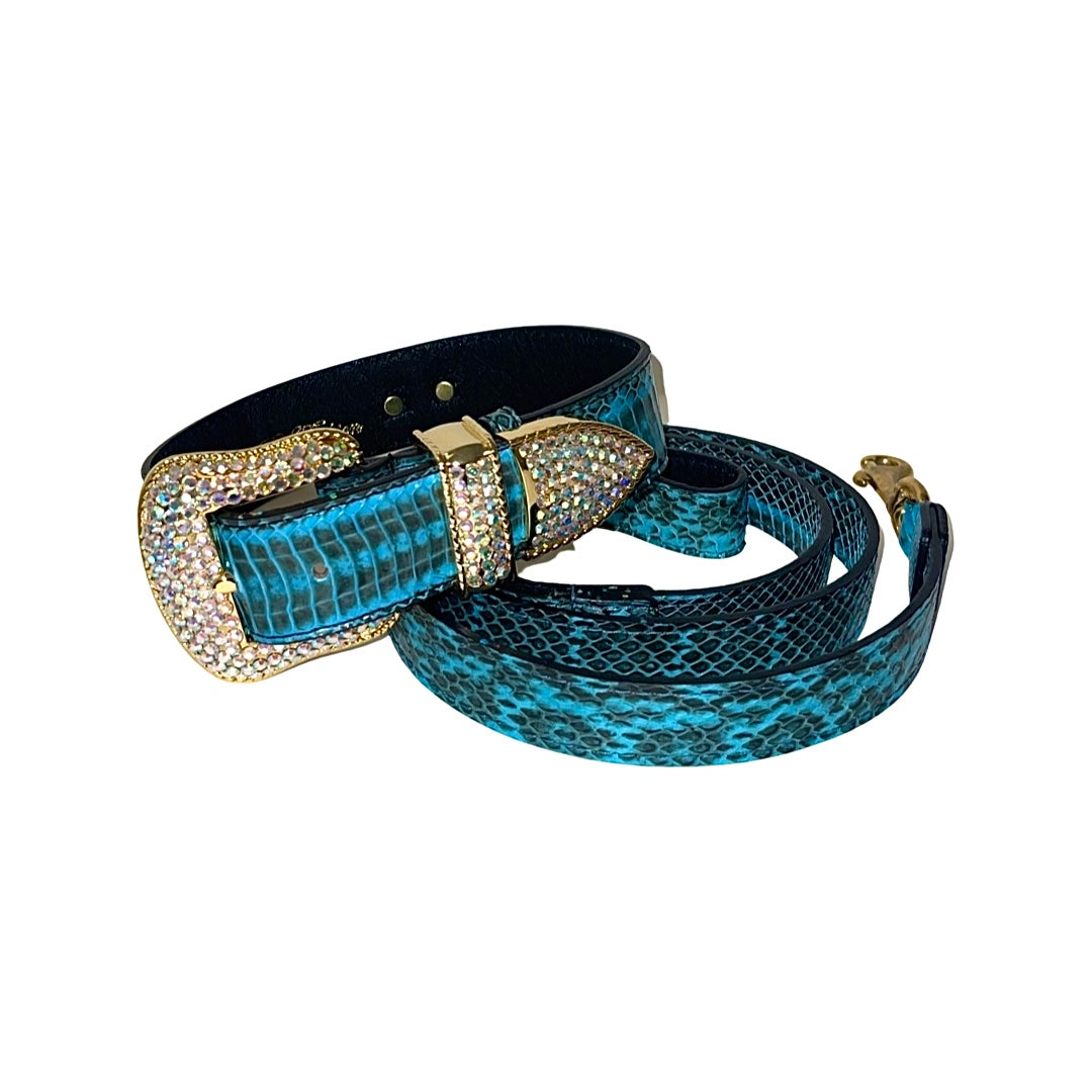 Allysa Payne Turquoise & Black Swarovski Crystal Hardware Snake Dog Collar & Leash Set