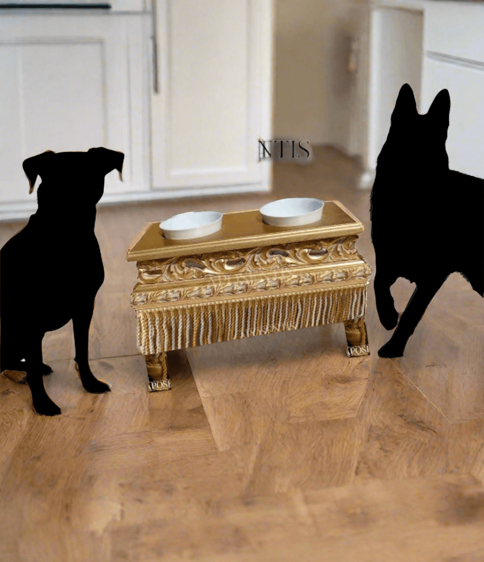 Luigi x Grumio Newfoundland Elevated Dog Feeder