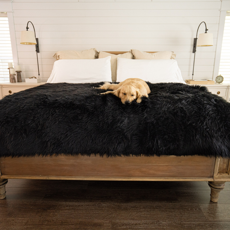 PupProtector™ Waterproof Throw Blanket - Midnight Black | HT Animal Supply