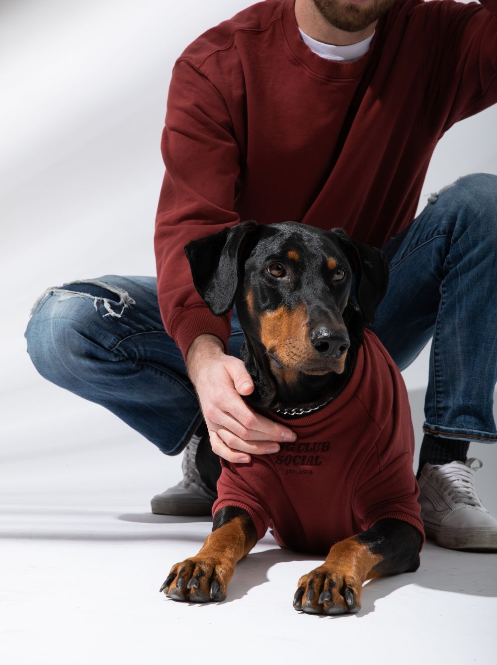 Terry Pullover