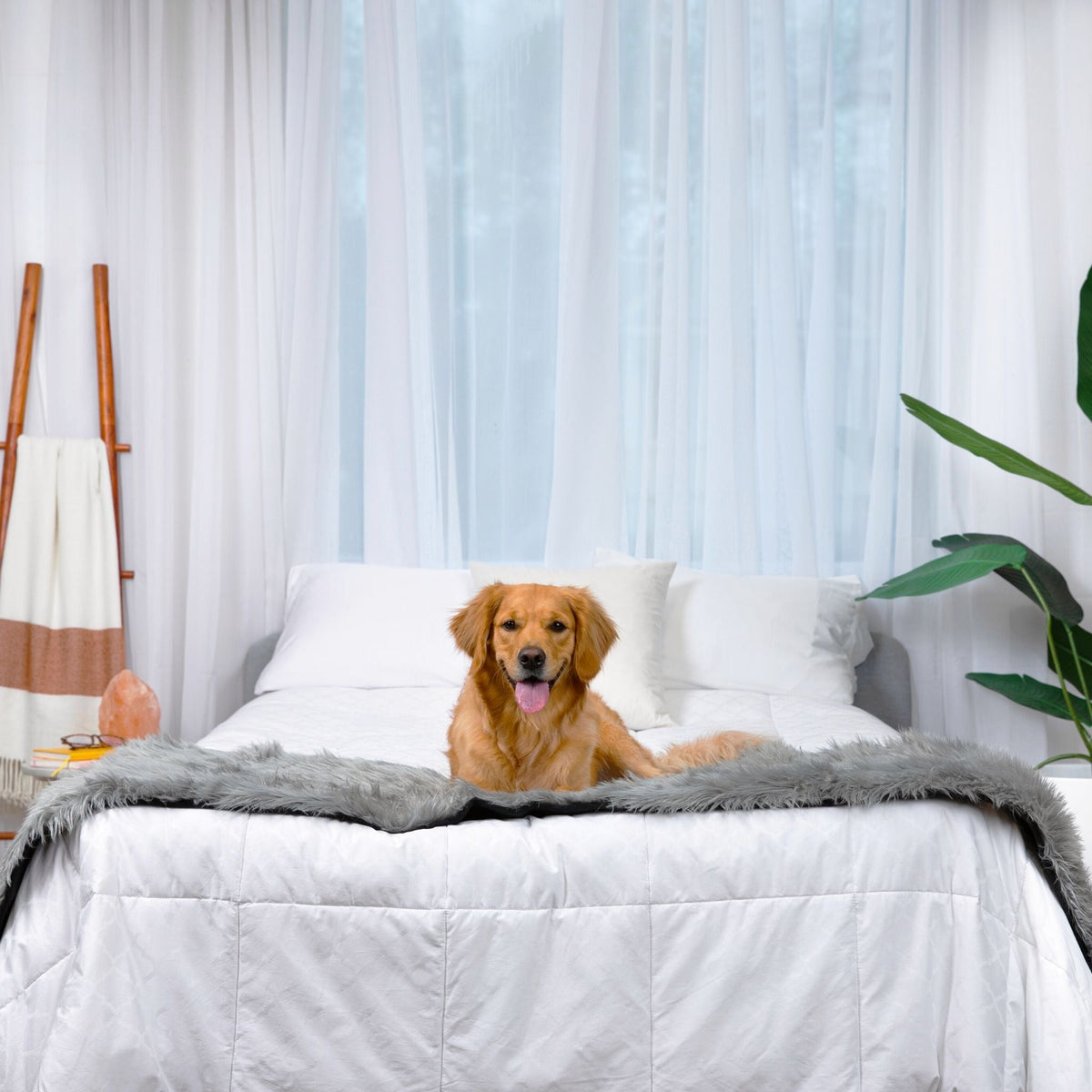 PupProtector Waterproof Bed Runner Charcoal Grey