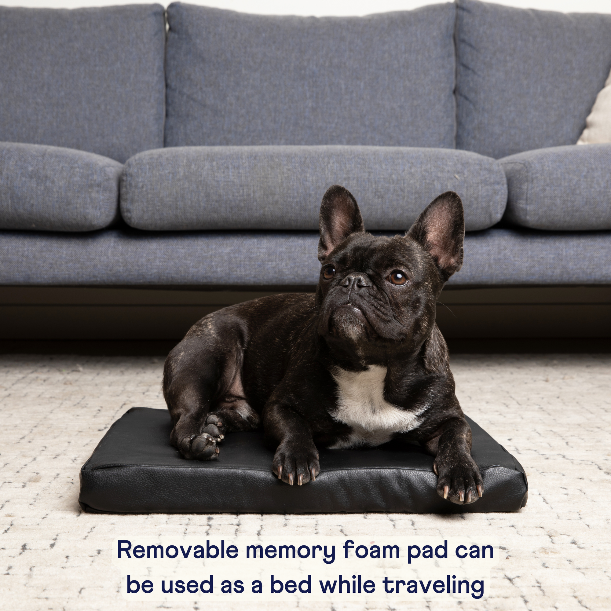 Pupprotector Faux Leather Memory Foam Dog Car Bed Black