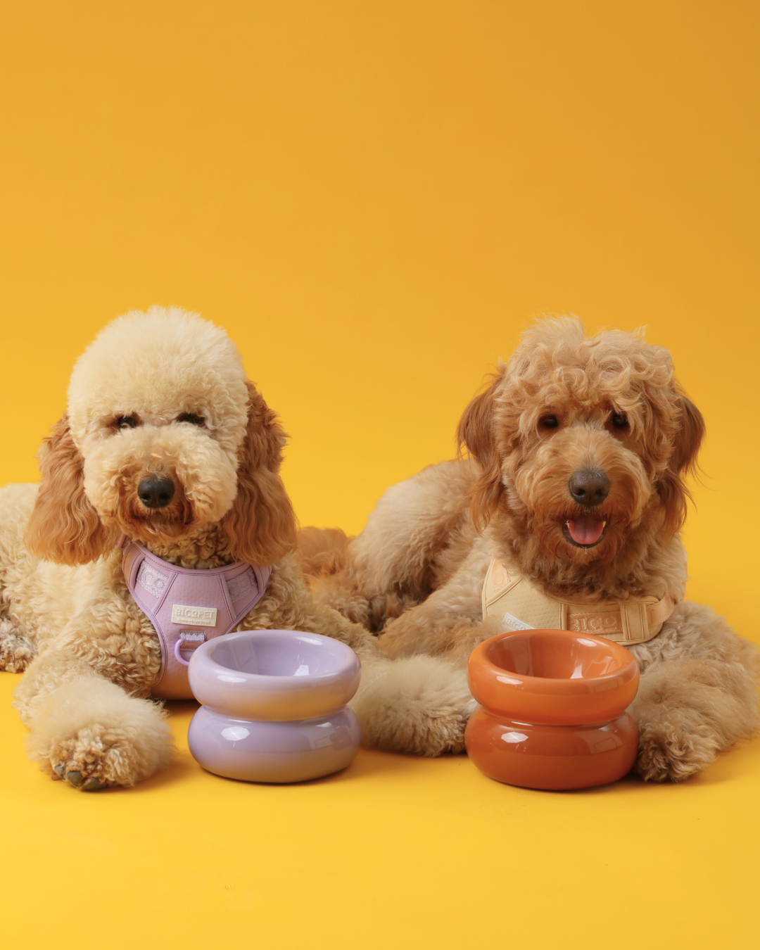 Souffle Pet Bowl-Purple