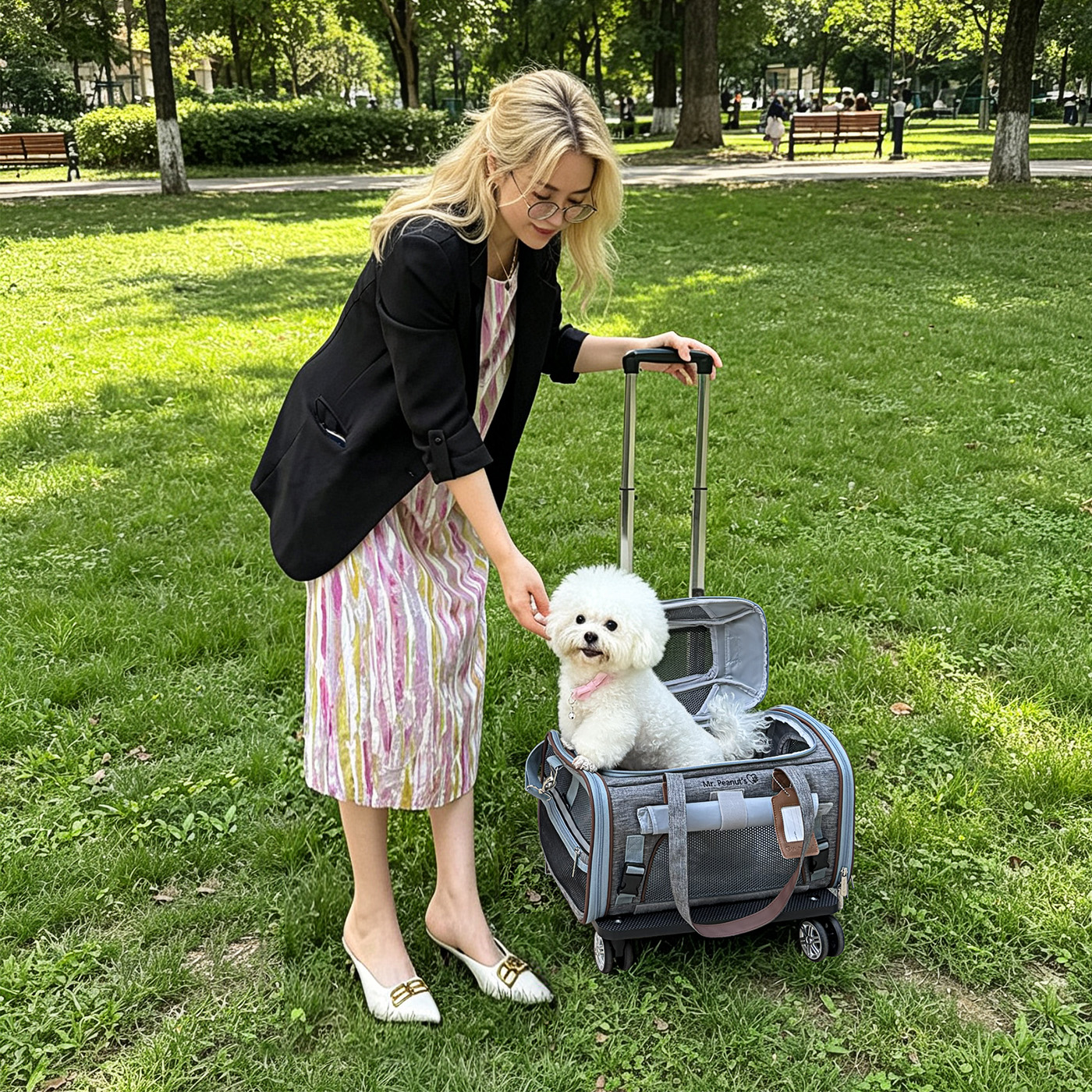 Mr. Peanuts Gold Series Standard Size Airline Compliant Expandable Pet Carrier