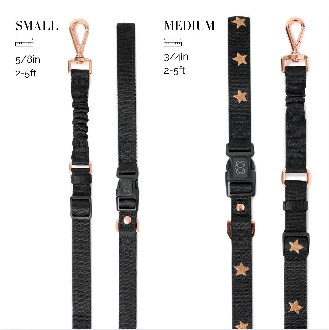 DOGISTRY 3-in-1 City Dog Leash - Rockstar