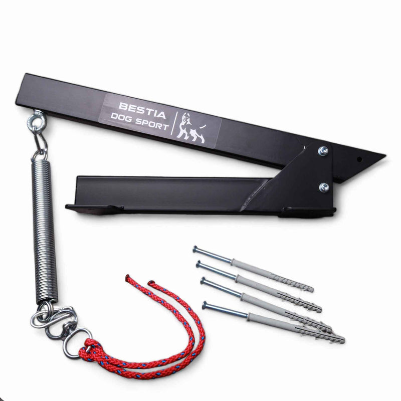 Bestia Dog Spring Pole