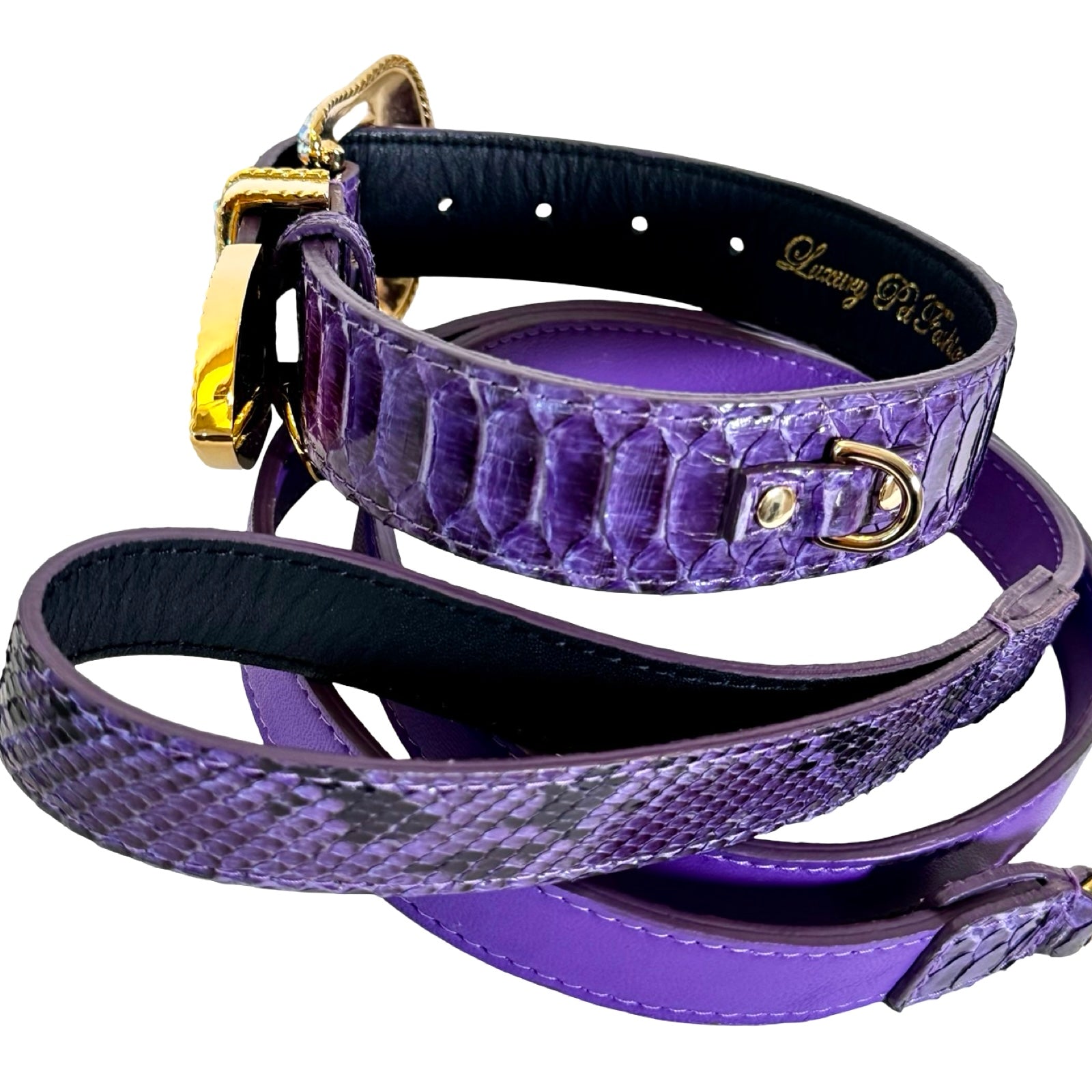 Allysa Payne Amethyst Royale Python Set Dog Collar