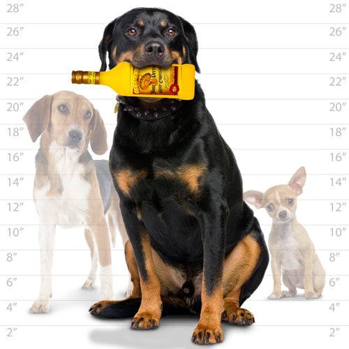 Silly Squeakers®  Liquor Bottle - Jose El Perro