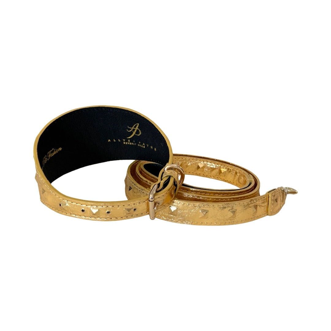 Allysa Payne Glam Gold Embossed Studded Italian Leather 3-Inch Wide Style Dog Collar & Leash Set