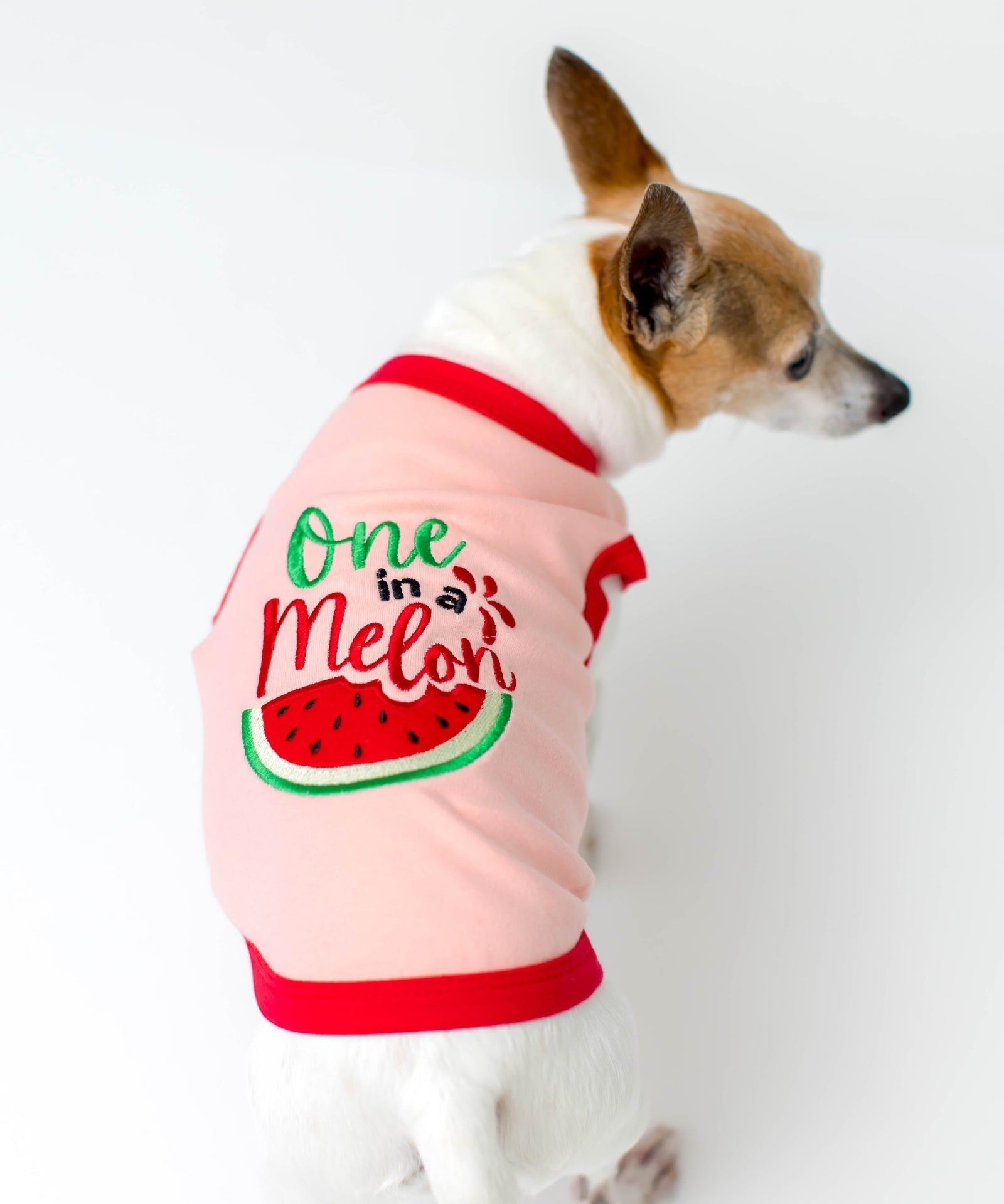 Parisian Pet One in a Melon Dog Shirt  Fun Summer Pet T-Shirt for Dogs & Cats, Pink