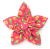 Pineapples Flower