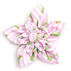 Stripe Alligators Flower
