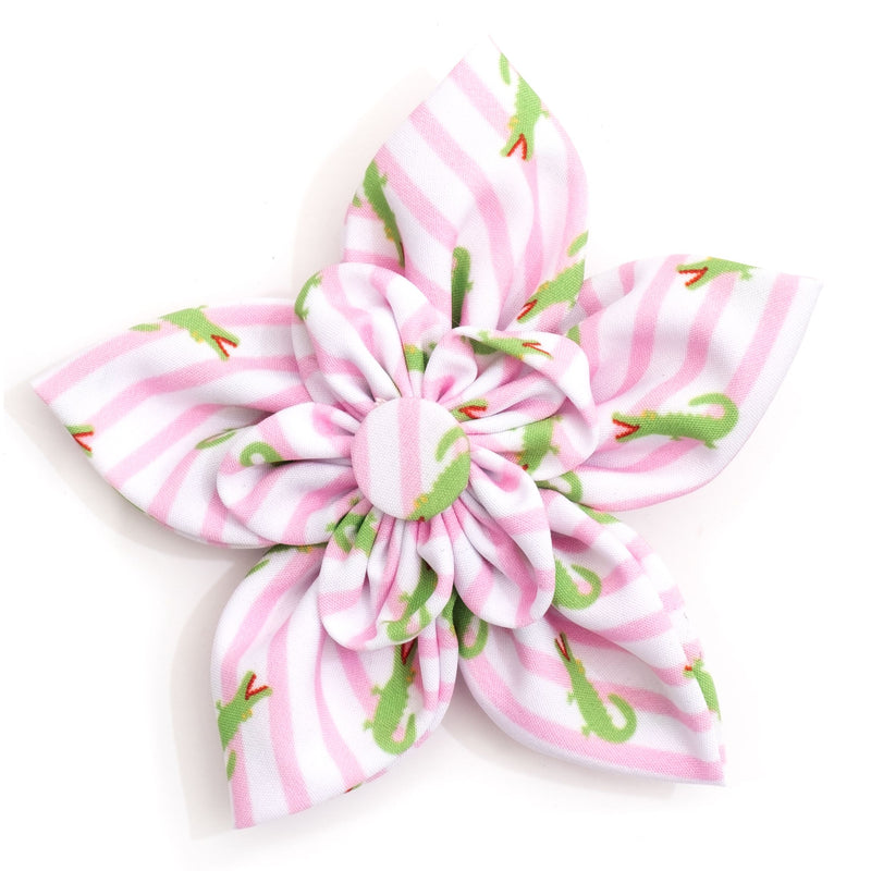 Stripe Alligators Flower