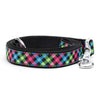 Carnival Check Lead