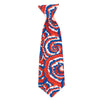 Kaleidoscope Neck Tie