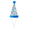 Birthday Party Hat