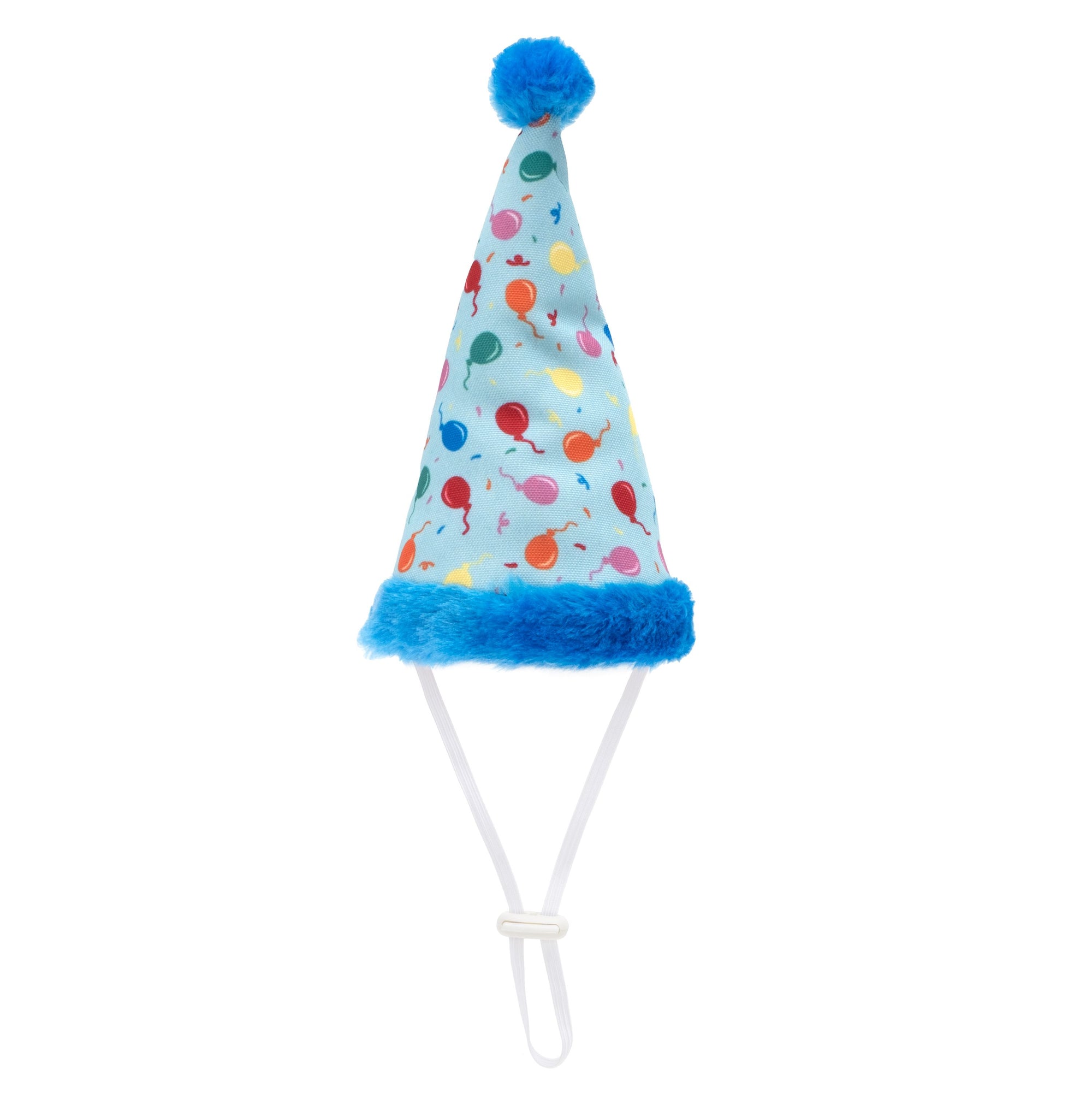 Birthday Party Hat