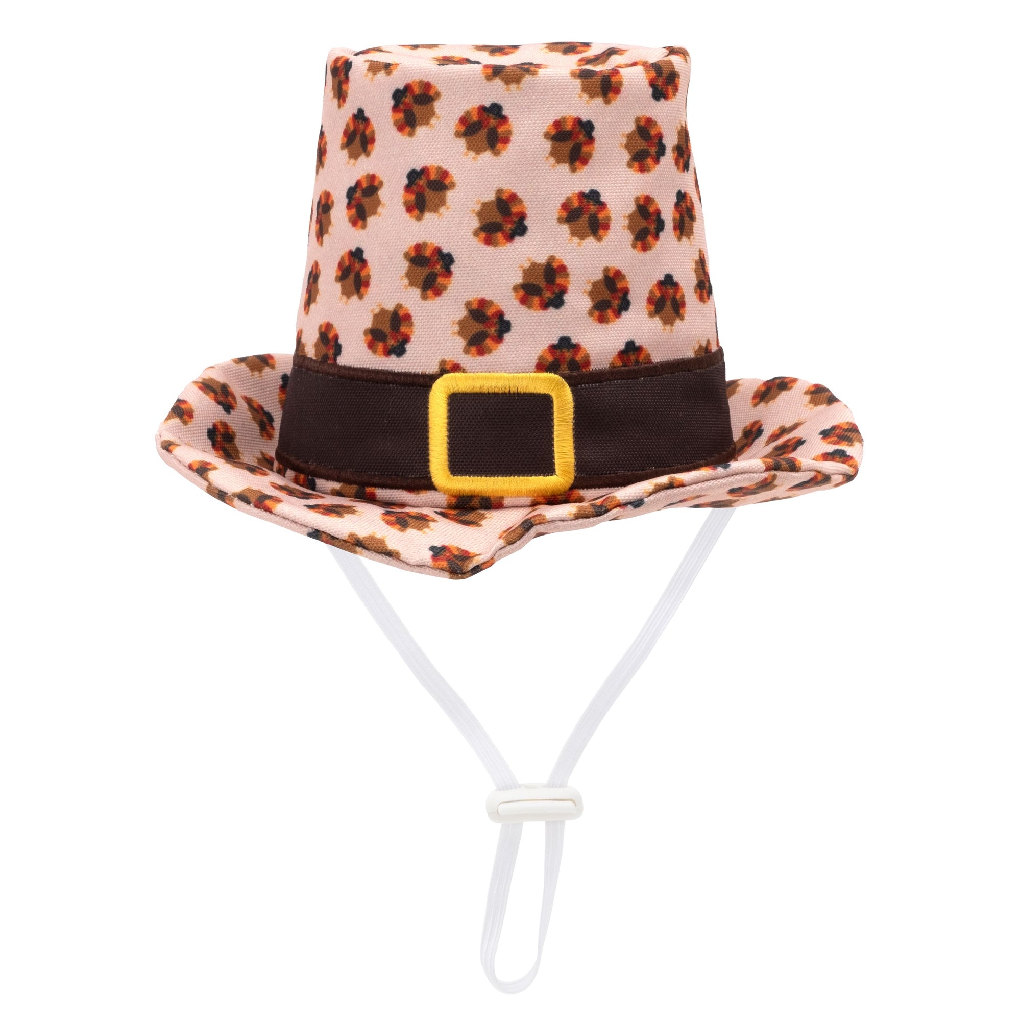Pilgrim Party Hat