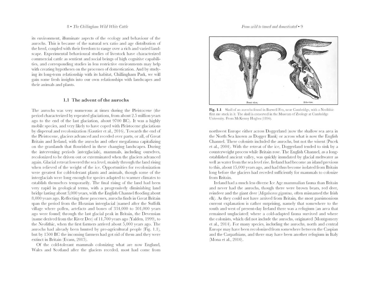 Inside Wild Cattle of Chillingham – Hardback, ISBN 9781789183719