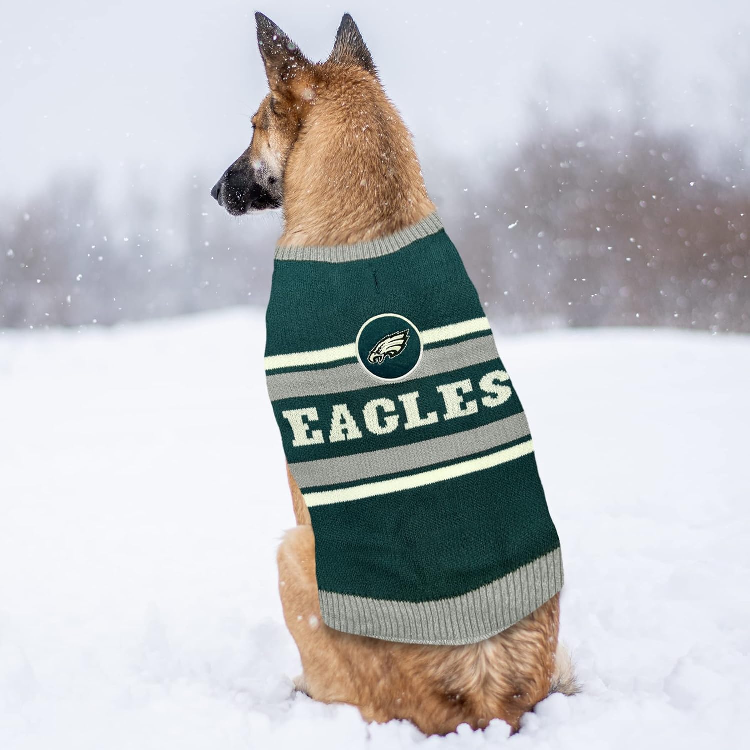 Philadelphia Eagles Pet Sweater