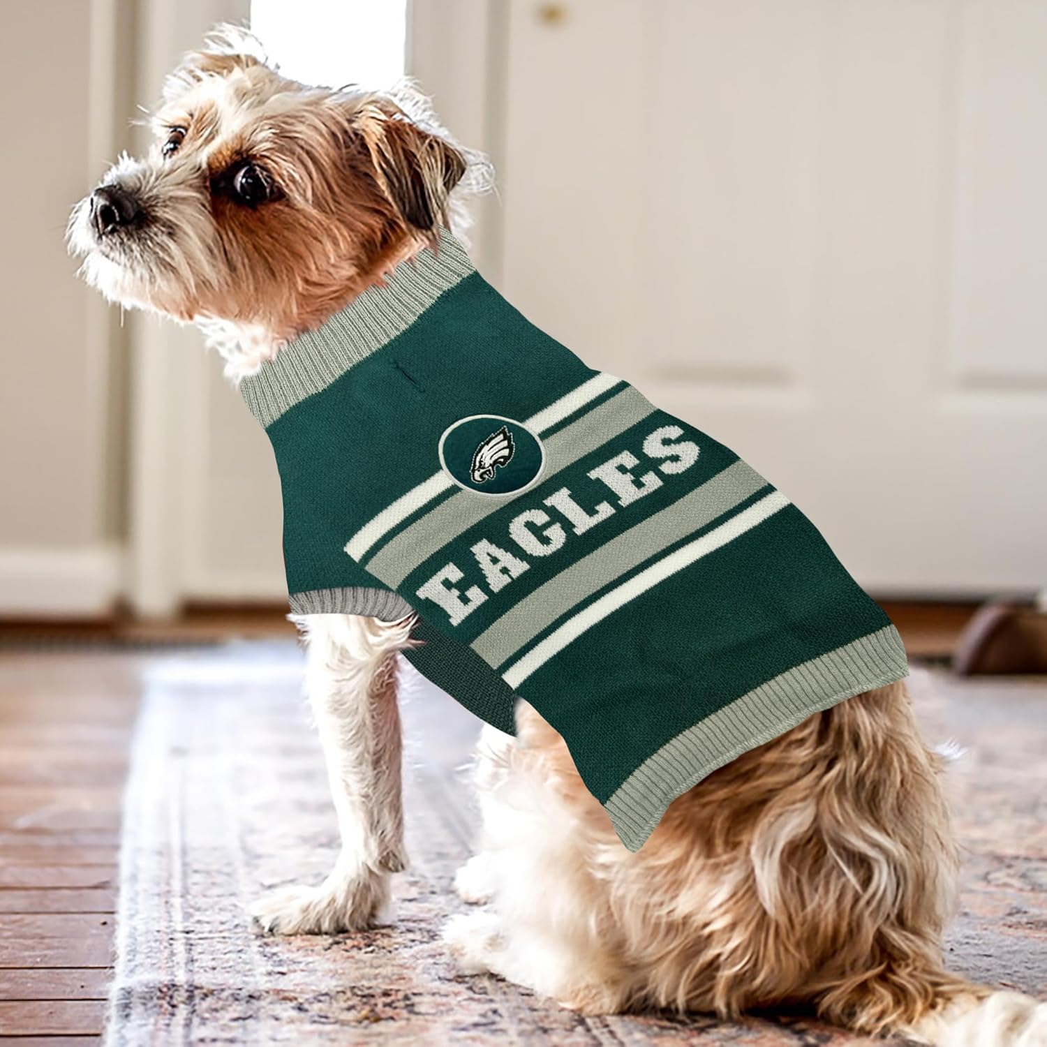 Philadelphia Eagles Pet Sweater