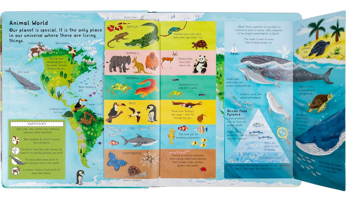 Inside Lift the Flap: Discovery! Animals – Hardback, ISBN 9798890942081