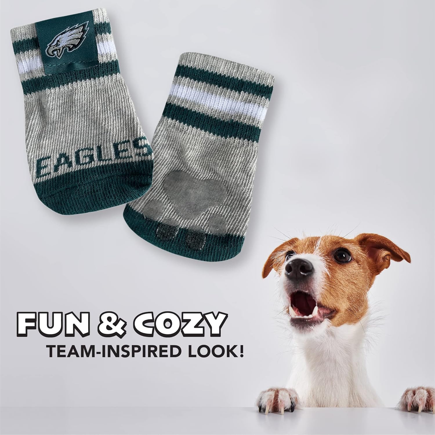 Philadelphia Eagles Pet Socks