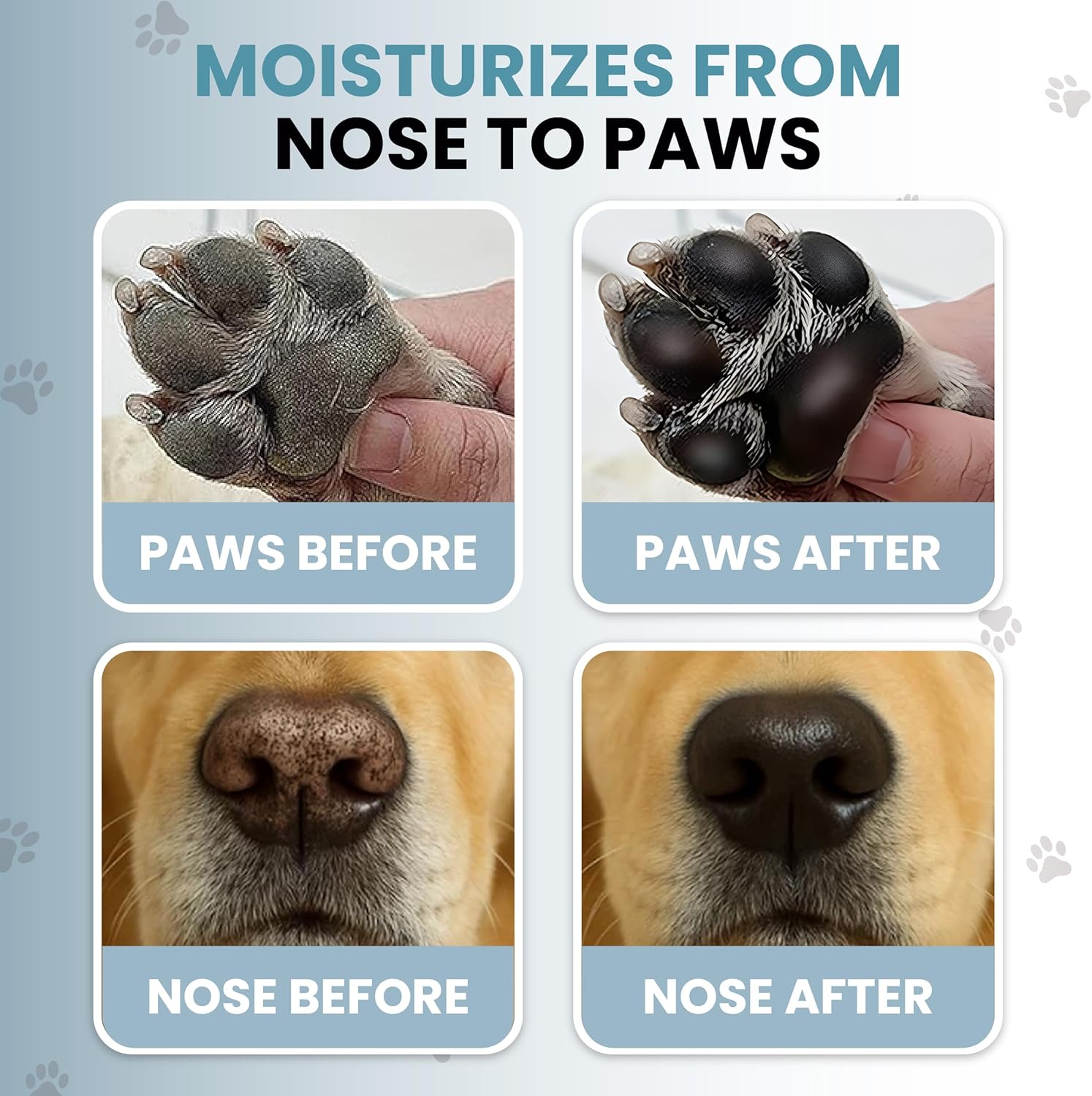 Dog Paw Balm