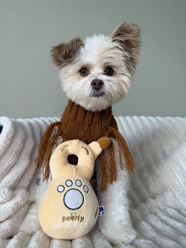 Pawty 888 Tequila Bottle Plush Dog Toy