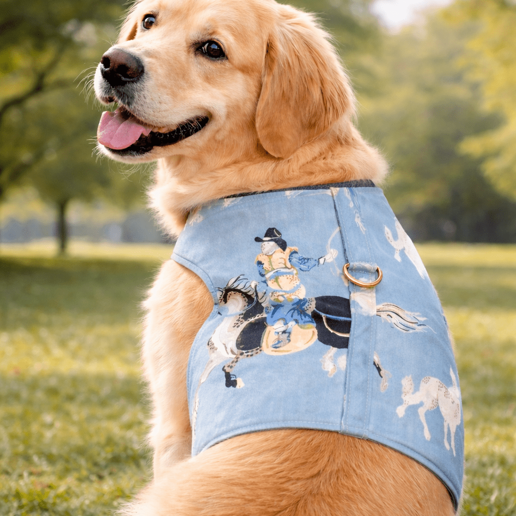 Heads or Tails Pup Horse Club Print Blue Denim Dog Harness