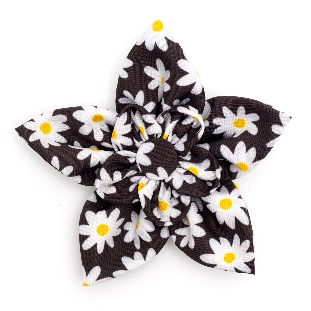 Lazy Daisy Flower
