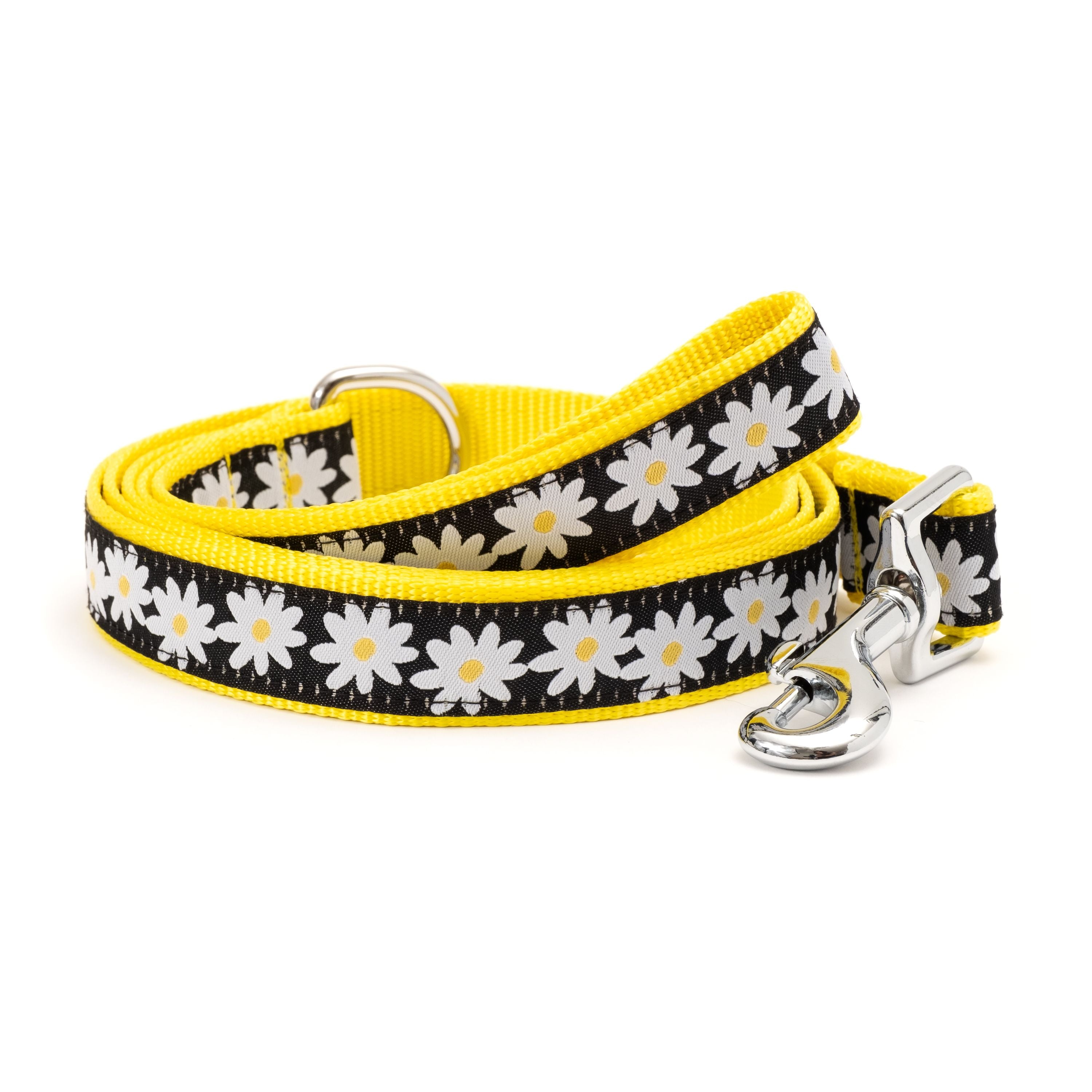 Lazy Daisy Lead