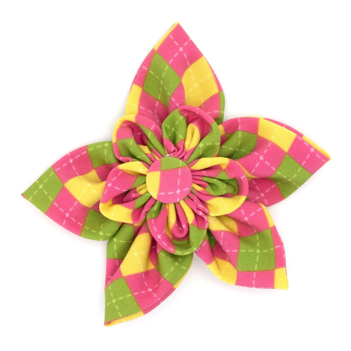 Bright Argyle Flower