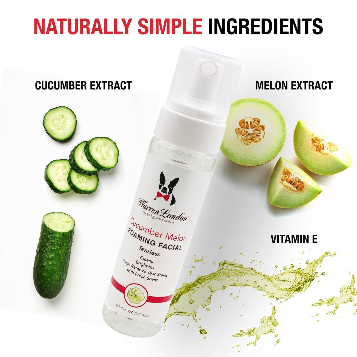 Cucumber Melon Foaming Facial - Professional Size - Refill - HT Animal Supply