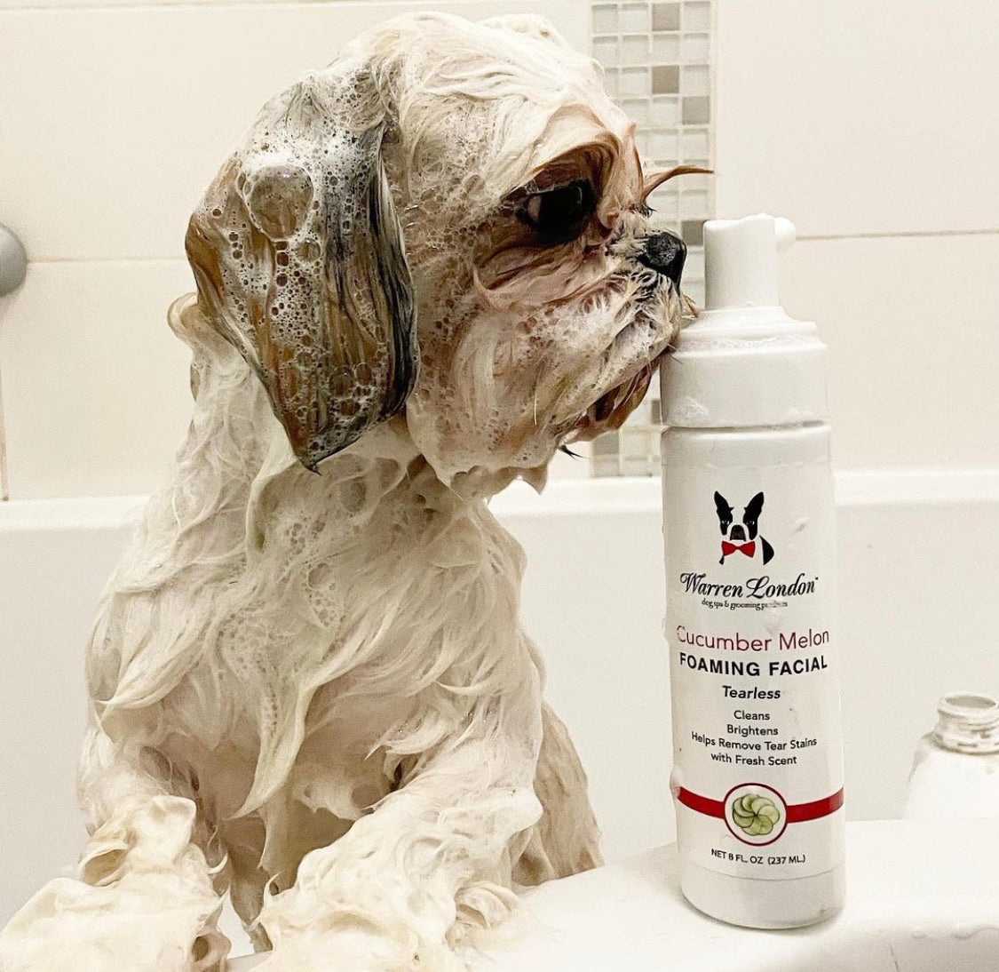 Cucumber Melon Foaming Facial For Dogs - HT Animal Supply