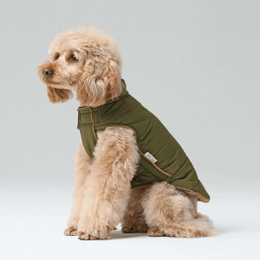 Reversible Dog Vest Jacket-Green Brown