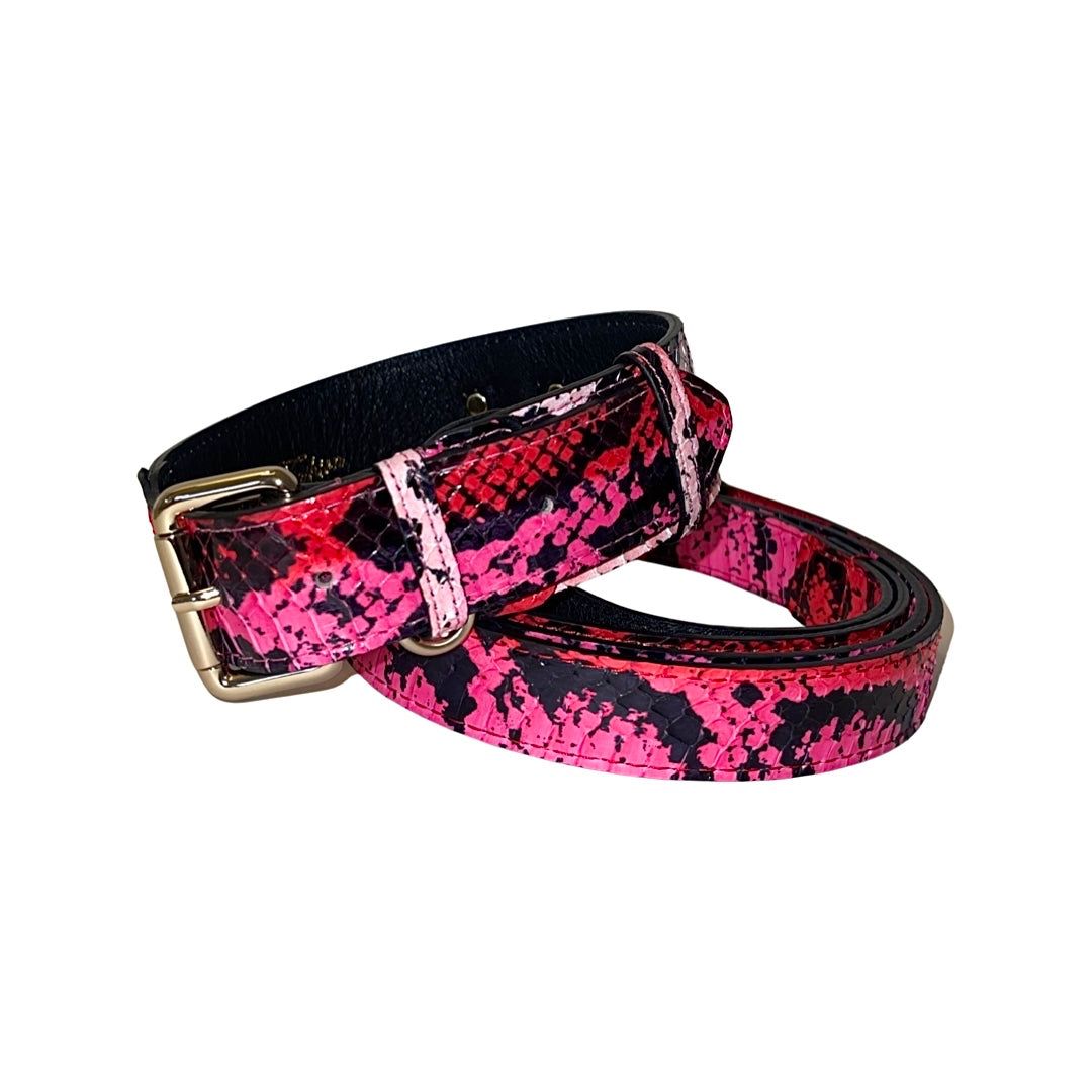 Allysa Payne Fuchsia/Light Pink/Red & Black Snake Classic Dog Collar & Leash Set