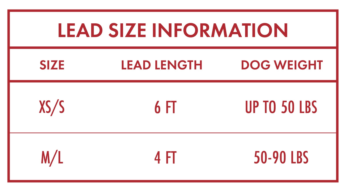 Wrangler® Pink Denim Harness, Collar & Lead Set