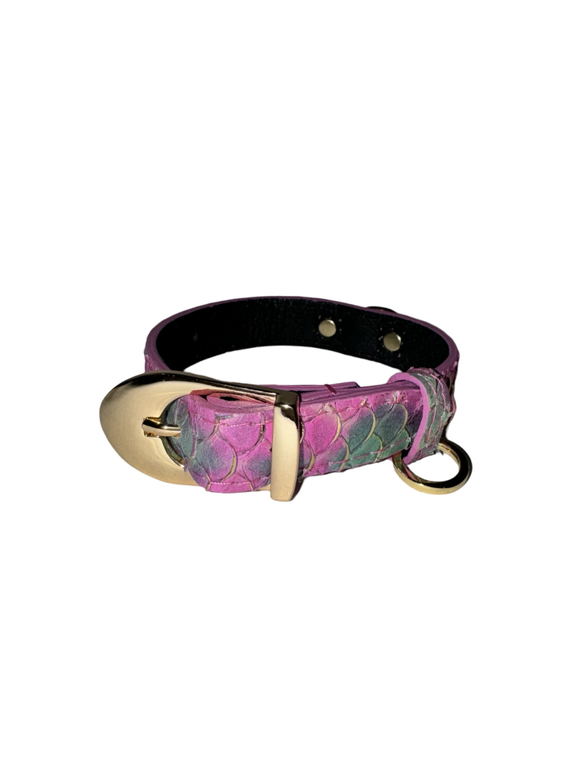 Allysa Payne Mermaid Collection XS Dog Collar