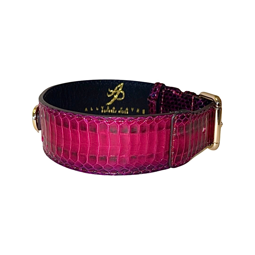 Allysa Payne Ruby Red & Purple Snake Classic Dog Collar