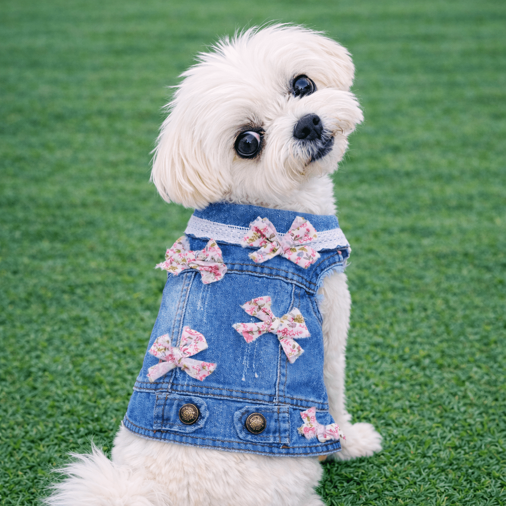 Heads or Tails Pup Blue with Pink Or Blue Mini Bows Dog Vest