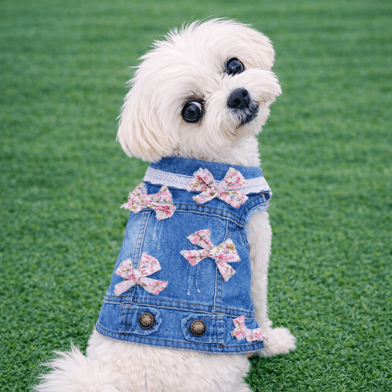 Blue Vest with Pink or Blue Mini Bows
