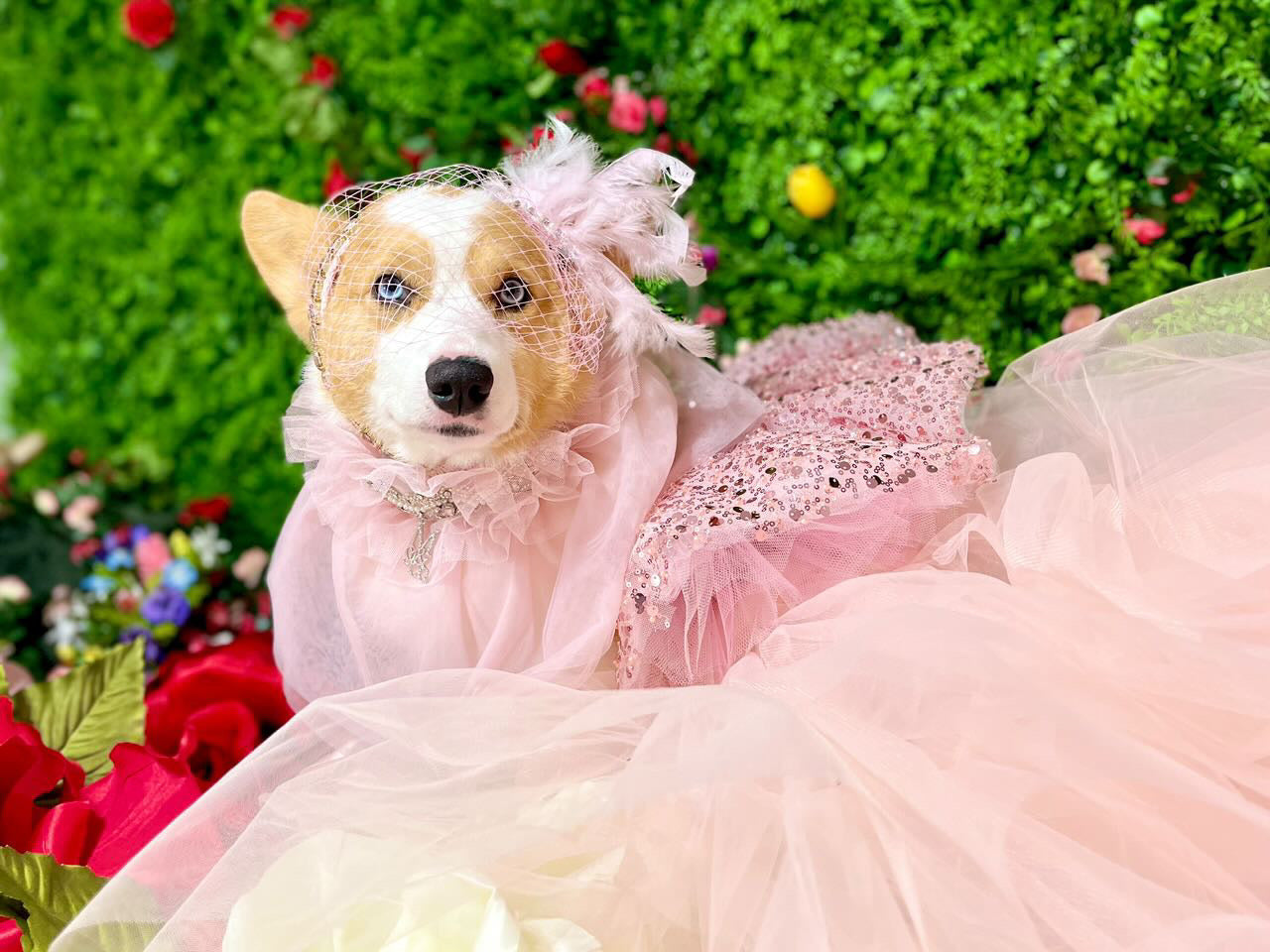 Whimsical Wedding: J’Adore