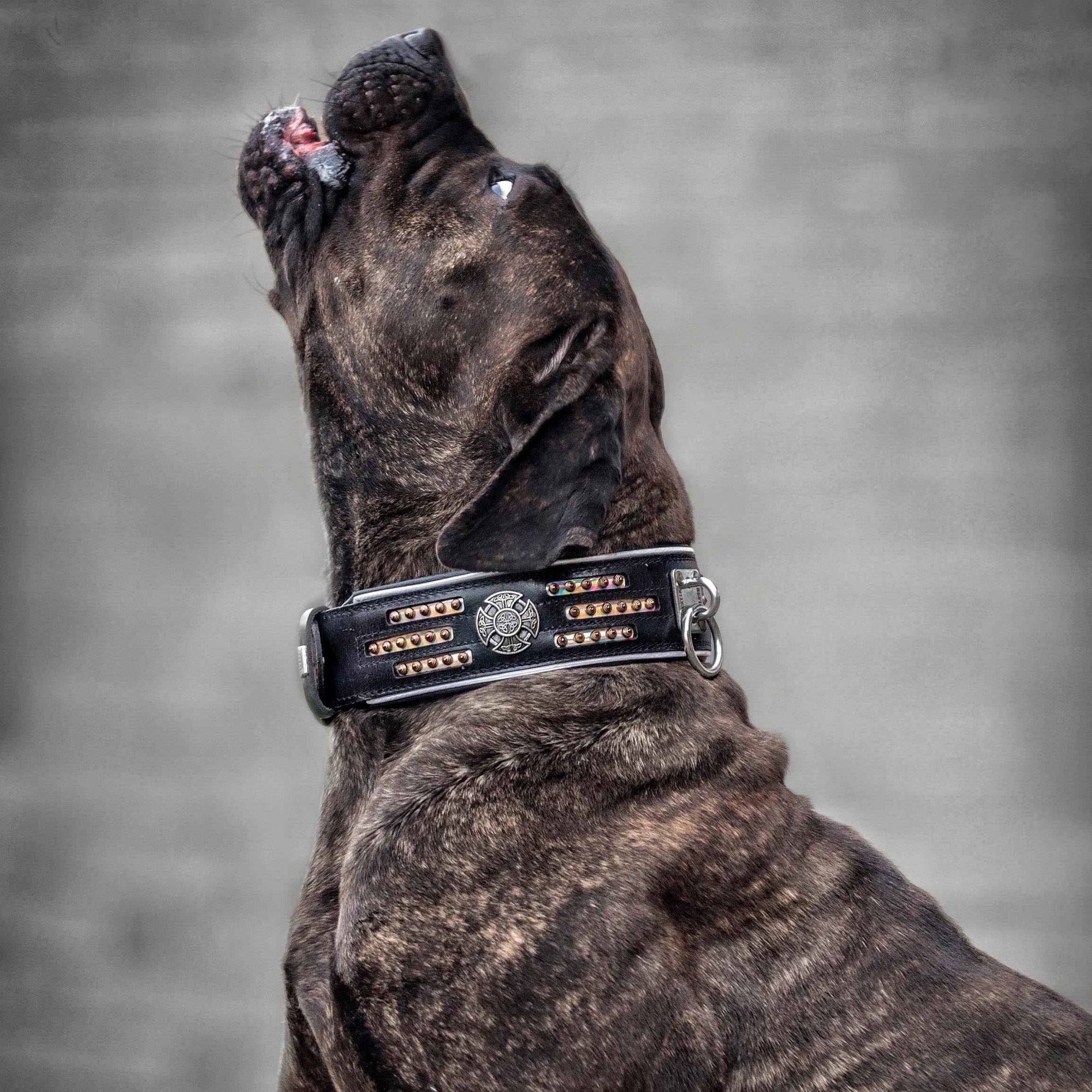 Bestia Atlantis Leather Dog Collar