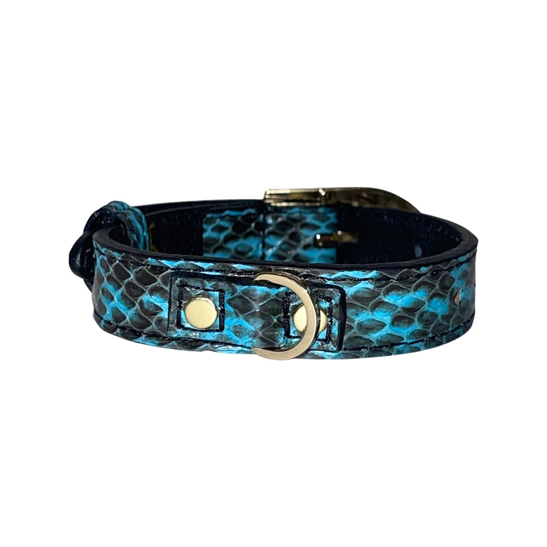 Allysa Payne XS/S 7"-14" Turquoise & Black Custom Snake Dog Collar/Custom Gold Italian Hardware