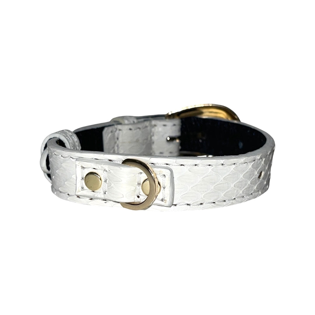 Allysa Payne XS/S 7"-14" Matte White Custom Snake Dog Collar/Custom Gold Oval Italian Hardware